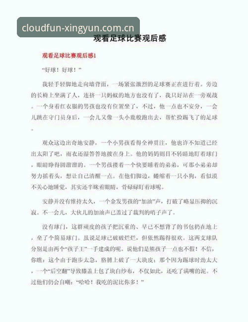 资深用户分享：世界杯观赛受阻背后的签证困局与杏运体育平台的赛事体验心得